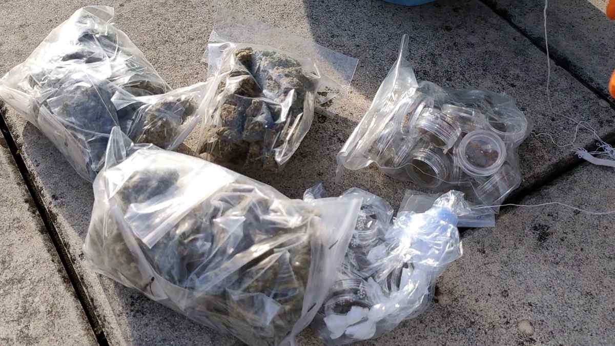 Mafia, quel laboratorio di droga affidato agli olandesi. Il Gip: “Acido di batteria nella marijuana”