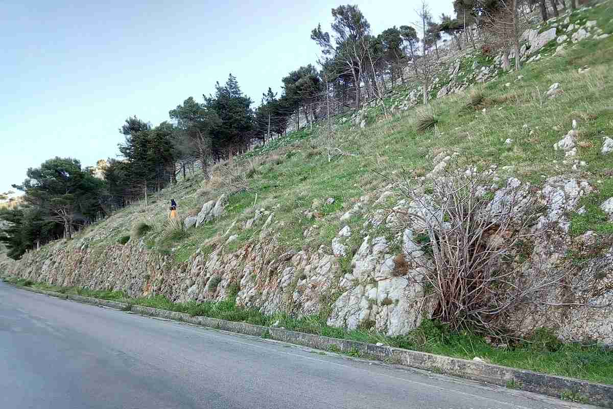 Oltre due milioni di euro per la messa in sicurezza della SP1 a Torretta: ecco i lavori previsti