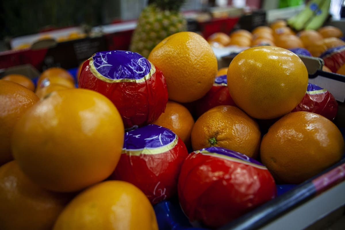 Dalla Sicilia all’estero, via alla campagna di esportazione di uva e agrumi: scattano controlli