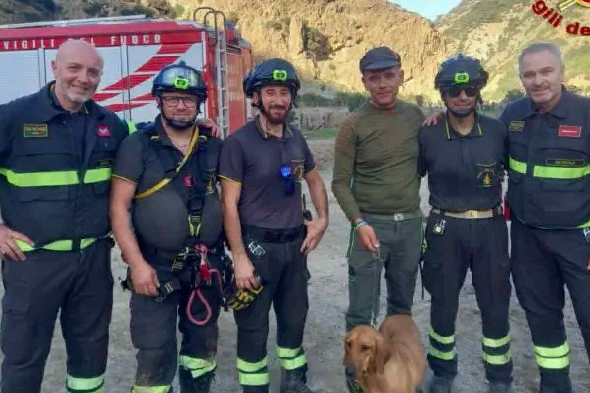 Rodì Milici, cane intrappolato in un costone roccioso: salvato dai Vigili del Fuoco