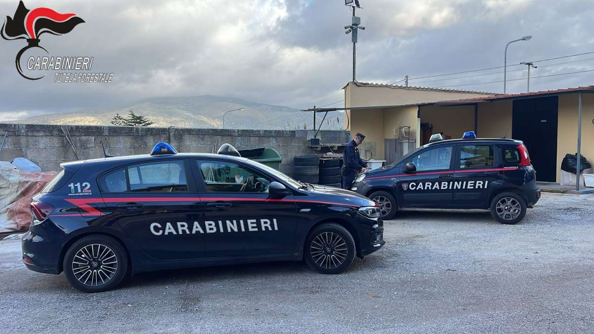 Palermo, violenza e furti in città: tre arresti e quattro denunce