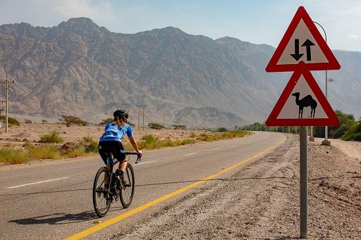 Cicloturismo: i trend emergenti del 2025 e i dati del settore Cicloturismo: i trend emergenti del 2025 e i dati del settore