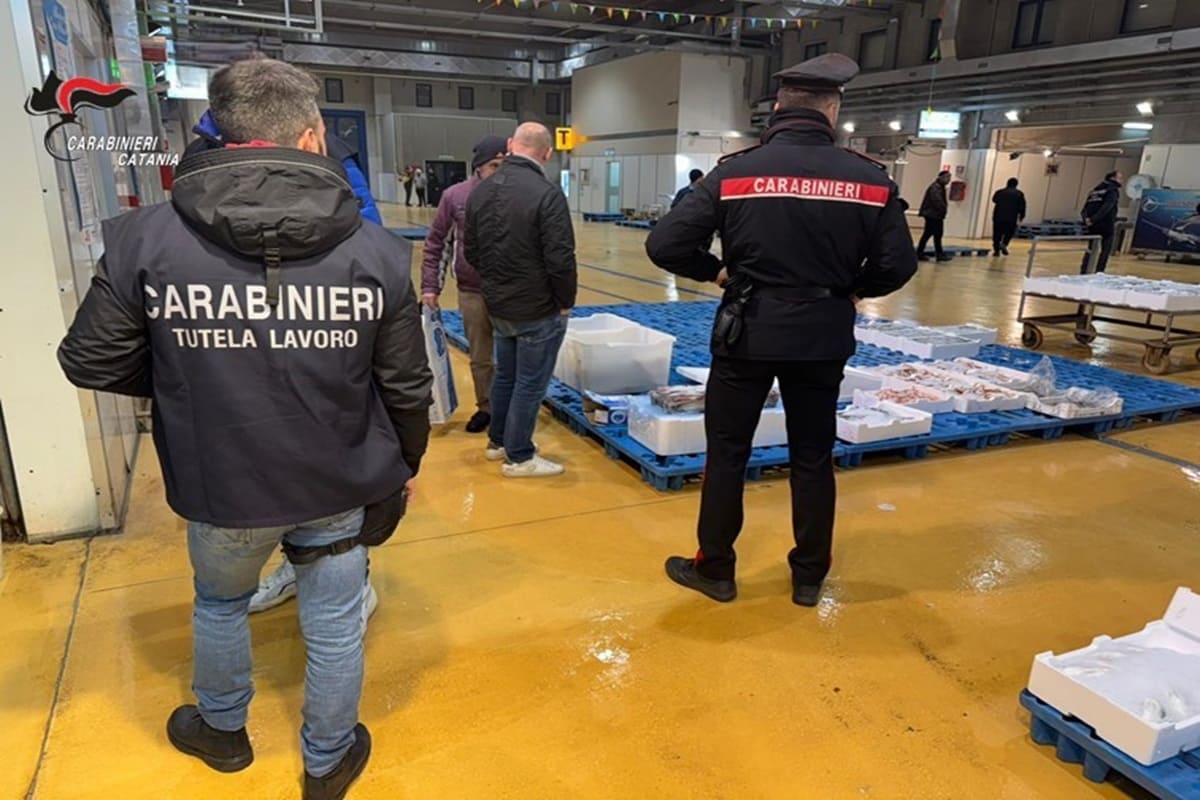 Scattano i controlli al MAAS di Catania, sotto sequestro più di mezza tonnellata di pesce