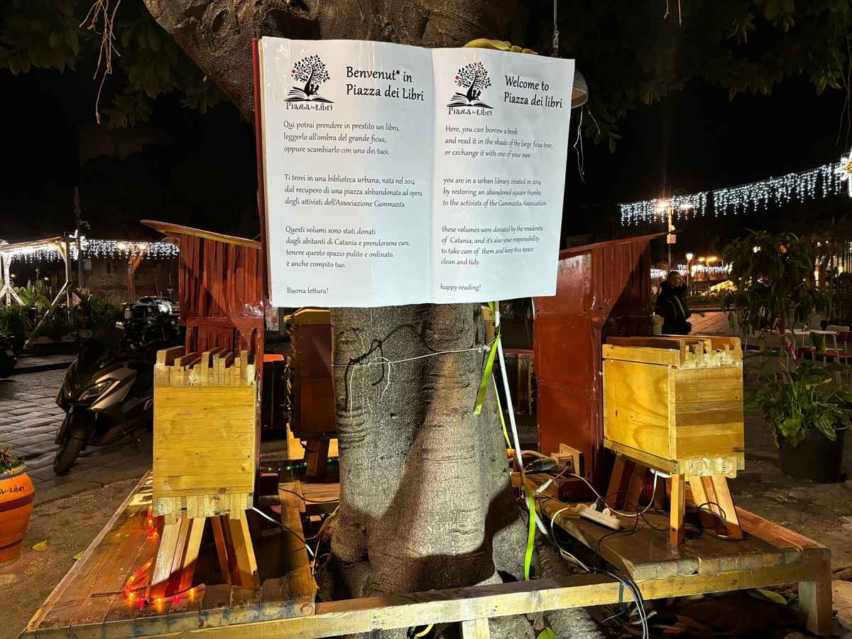 VIDEO | La trasformazione del degrado in un inno alla cultura: “Piazza dei Libri” compie 10 anni