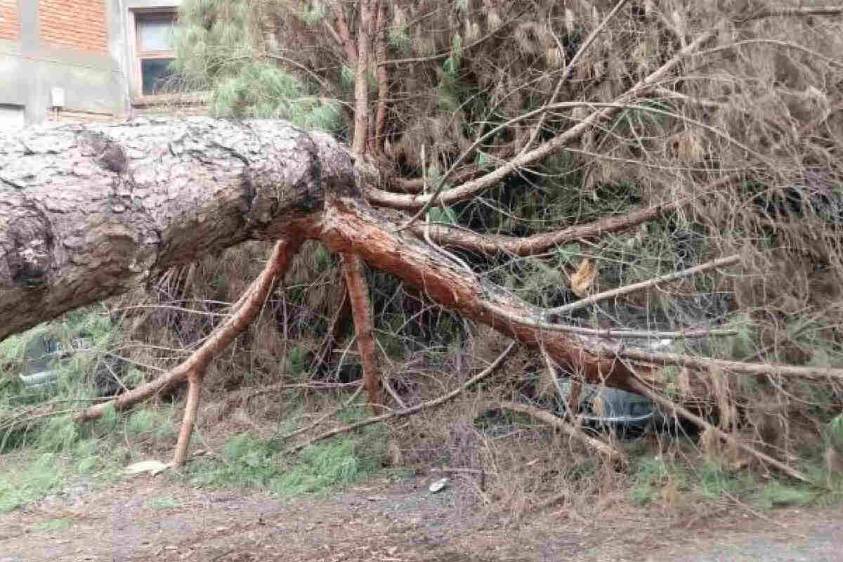 Maltempo e disagi a Messina: chiusi parchi, ville e cimiteri