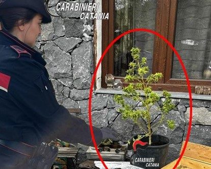 Pedara, beccato con la droga in giardino: preso spacciatore recidivo