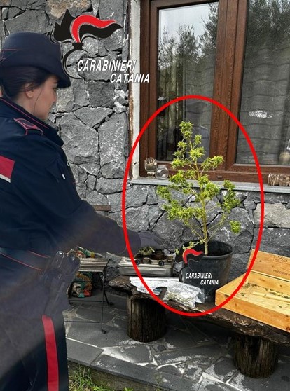 Pedara, beccato con la droga in giardino: preso spacciatore recidivo