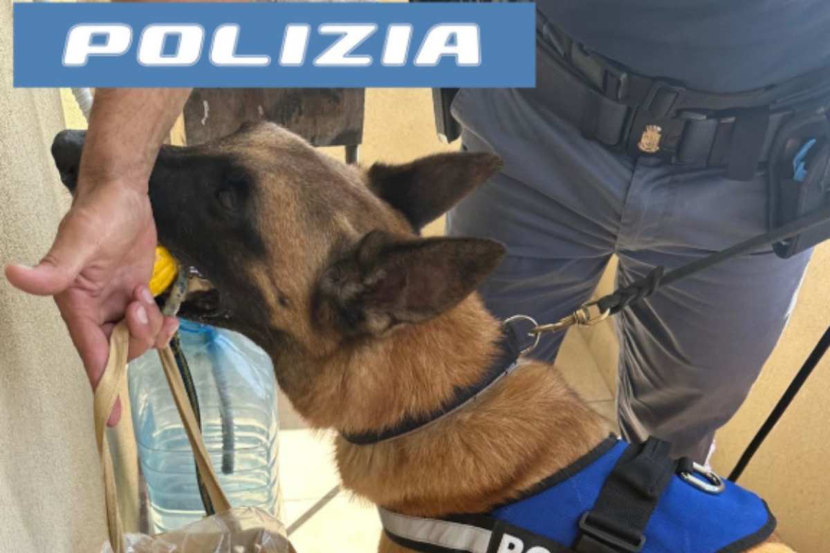 Catania, trovato quasi 1kg e mezzo di droga in un scantinato di Librino