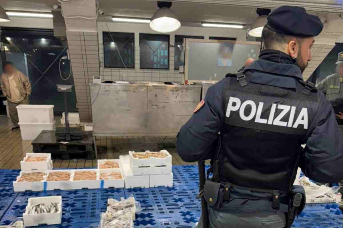 Aci Trezza, intervento al mercato del pesce: maxi sequestro e sanzioni da oltre 6.200 euro