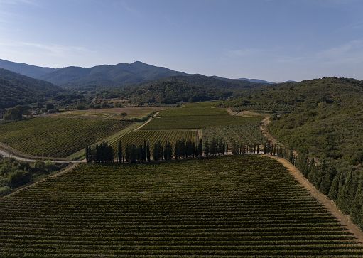Vino, “L’altra Toscana”: il 20 febbraio a Firenze la quarta edizione Vino, “L’altra Toscana”: il 20 febbraio a Firenze la quarta edizione