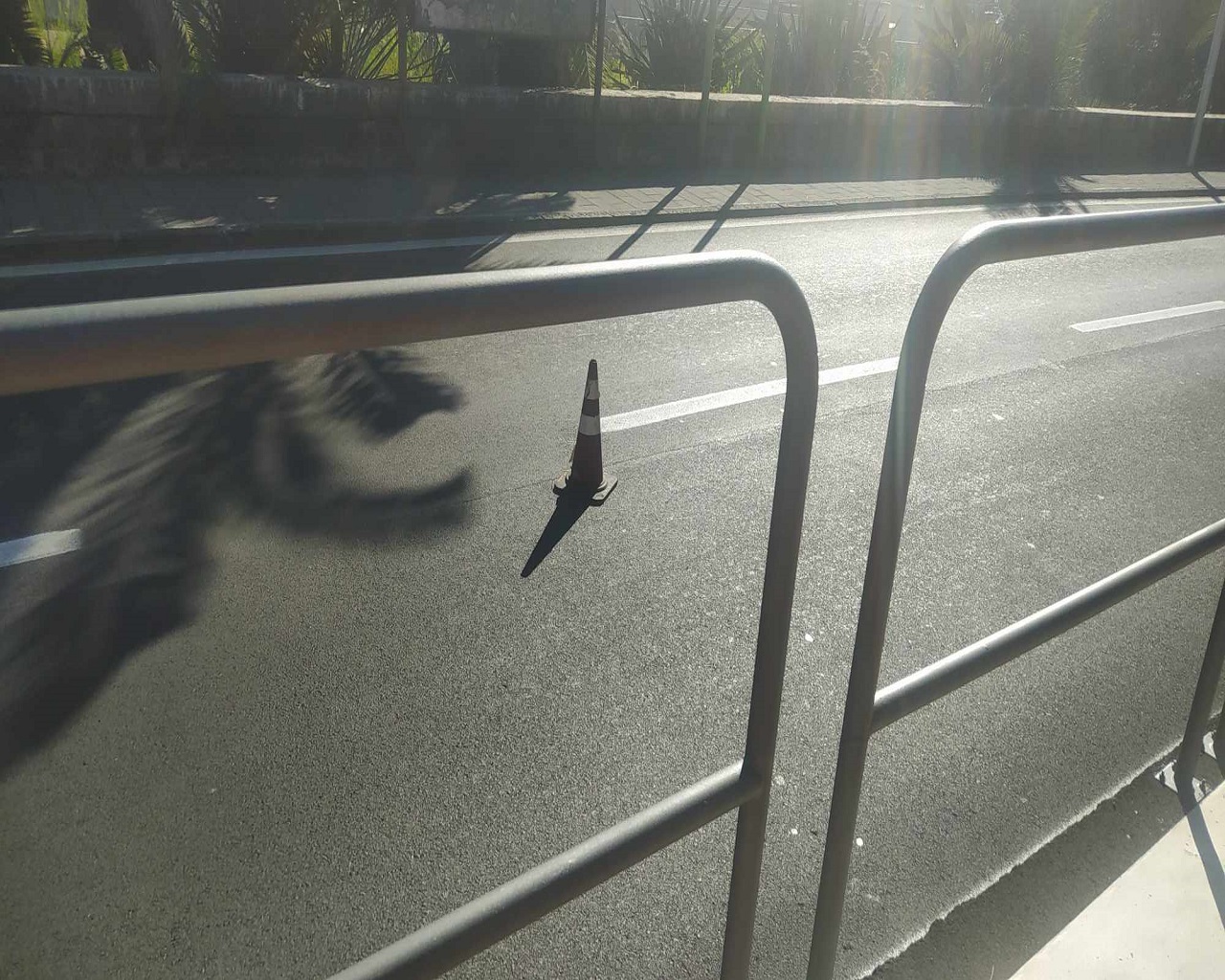 VIDEO |  Pista ciclabile in via Domenico Tempio a Catania tra concordia e discordia