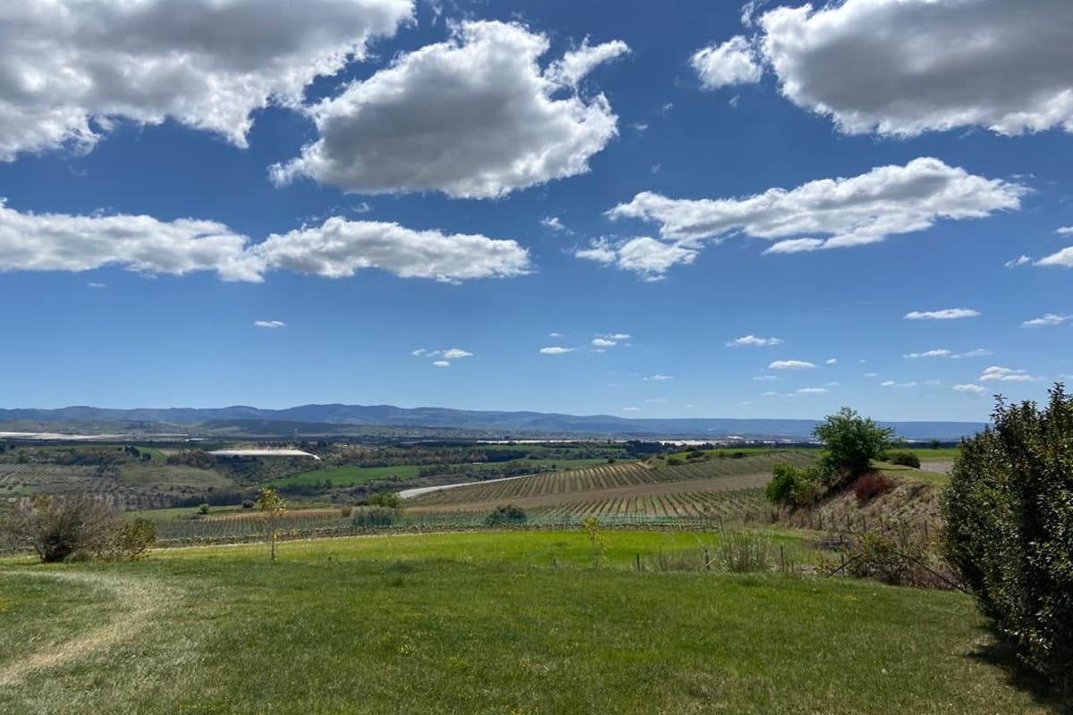 Tra caldo e rivoluzioni sociali, si beve sempre meno vino: le nuove frontiere del settore in Sicilia