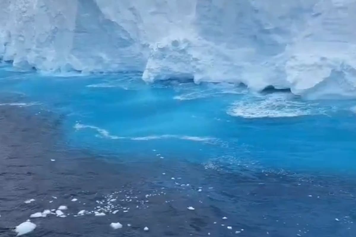 VIDEO | Iceberg gigante pericolosamente vicino a un’isola, l’allarme degli esperti