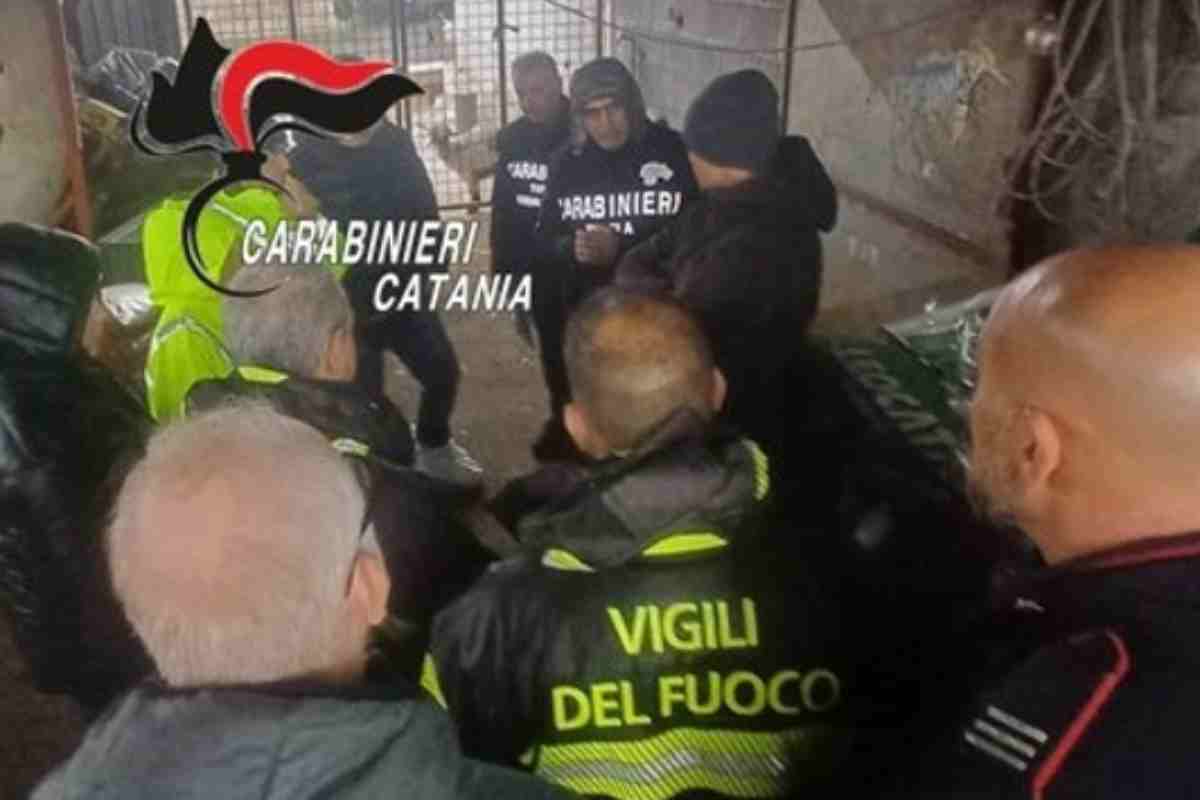 Aci Sant’Antonio, liquami e carcasse di animali: sospesa l’attività di un allevamento