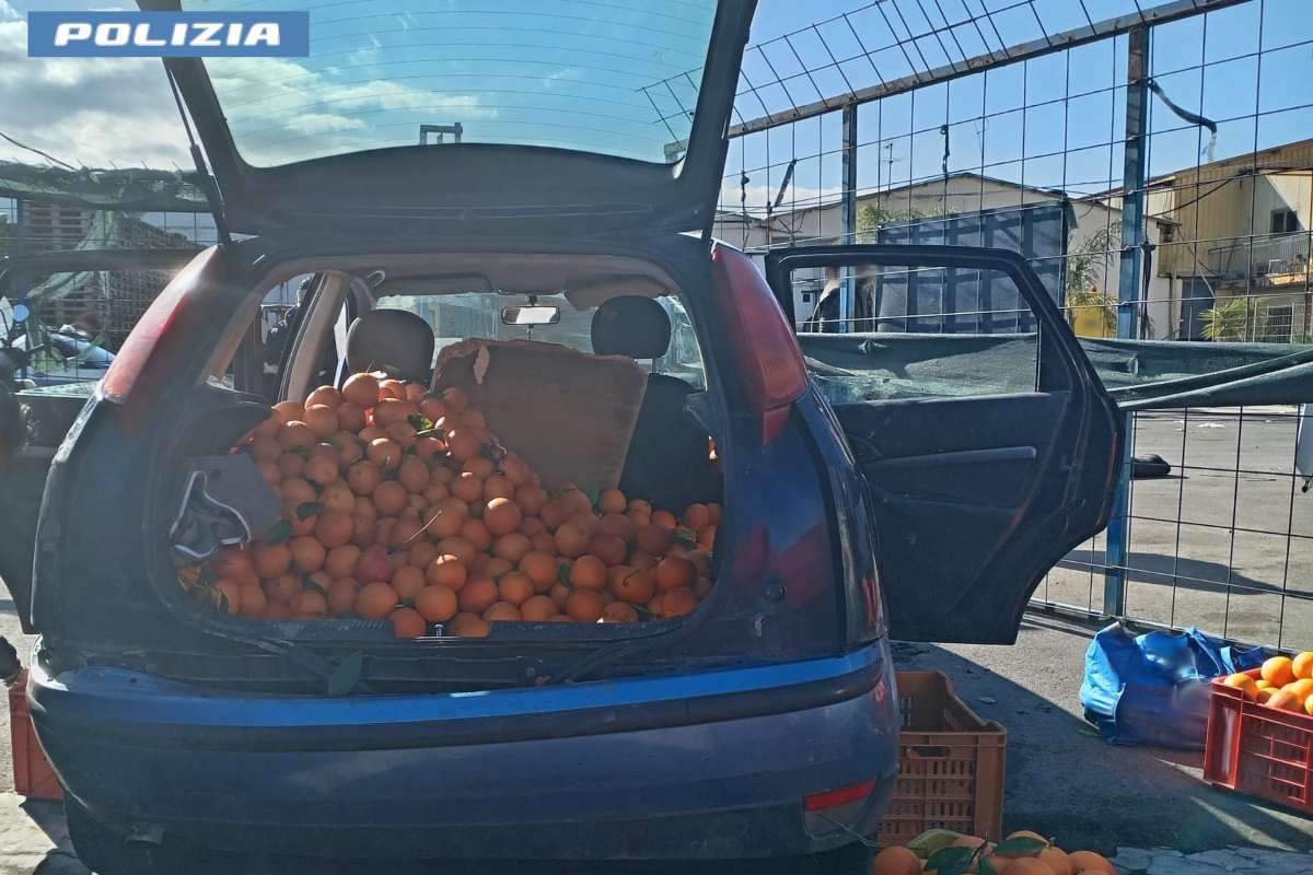 Fermato pregiudicato con un carico di 700 kg di arance senza patente: denunciato dalla Polizia