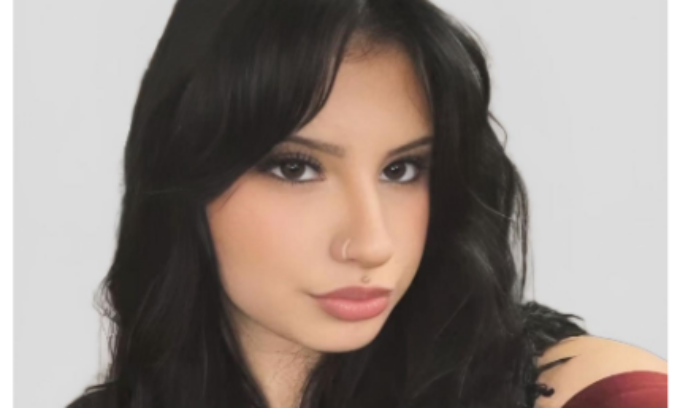 Mette un video su Tik Tok mentre sfreccia in auto con un amico, morta una tredicenne