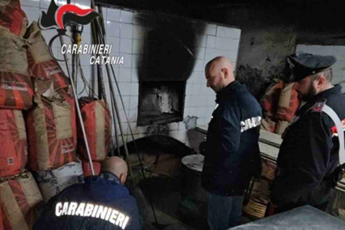 Acireale, blatte e insetti vivi tra pane e scacciate: chiuso un panificio della città