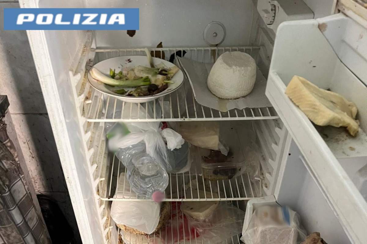 Catania, sequestrati 15 chili di prodotti ittici in un bar di corso Sicilia: sanzioni da 15mila euro