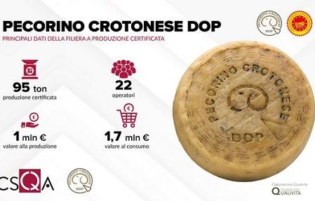 Da filiera Pecorino crotonese Dop 1,7 mln euro valore al consumo