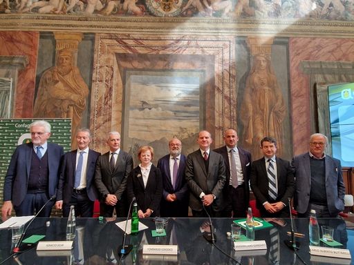 Olio oliva:italiano in 15 anni perso 30% raccolto e 38% produzione