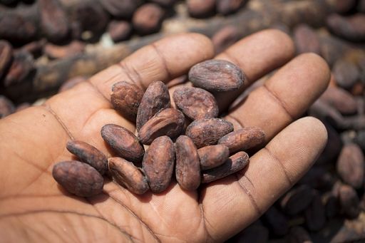 Import agroalimentare Ue a 15,5 mld a novembre 2024, +18% su 2023