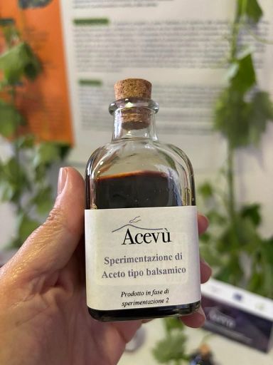 Pronti campioni sperimentali aceto biologico vulcanico dell’Etna