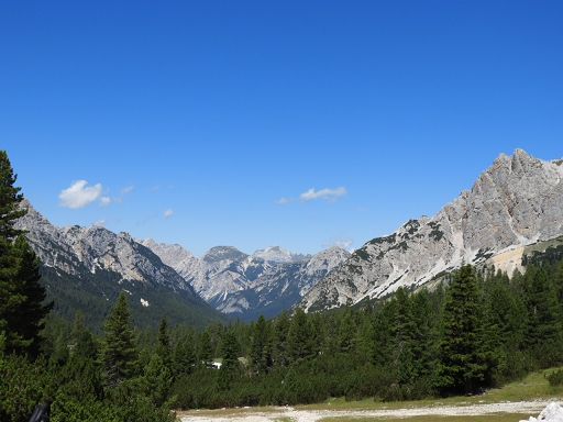 Rapporto Pefc 2025: record per sostenibilità forestale in Italia