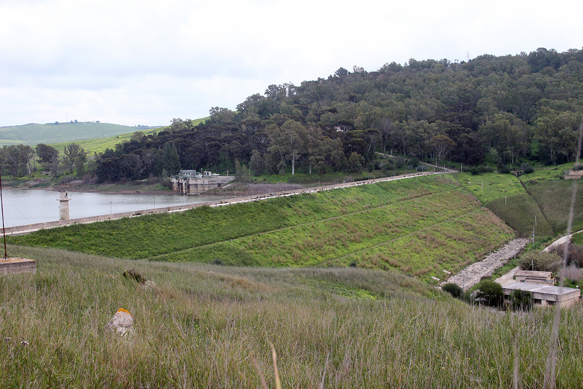 Siccità nel Trapanese, Cia Sicilia a Regione e Mit: “Serve quota maggiore per la diga Trinità”