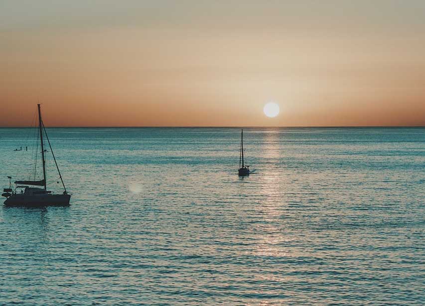 “Povero mare”: dalle alici agli scampi e ai ricci, così anche i fondali siciliani si stanno spopolando