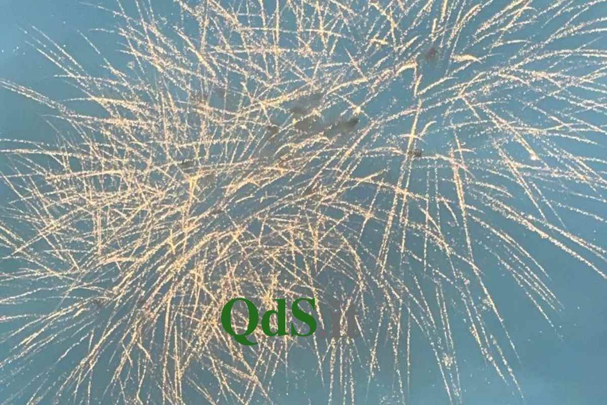 Fuochi d'artificio prima dell'inizio del giro interno