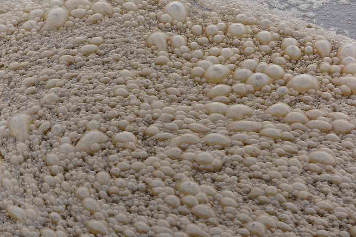 In cattive acque: in Sicilia oltre la metà di quelle sotterranee è in cattivo stato