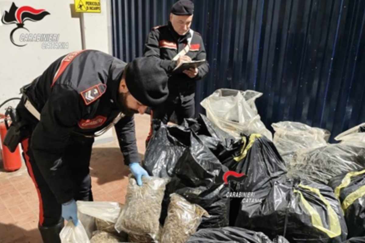 Catania, sequestrati 2 quintali e mezzo di droga nascosta tra i materiali: si cercano i responsabili