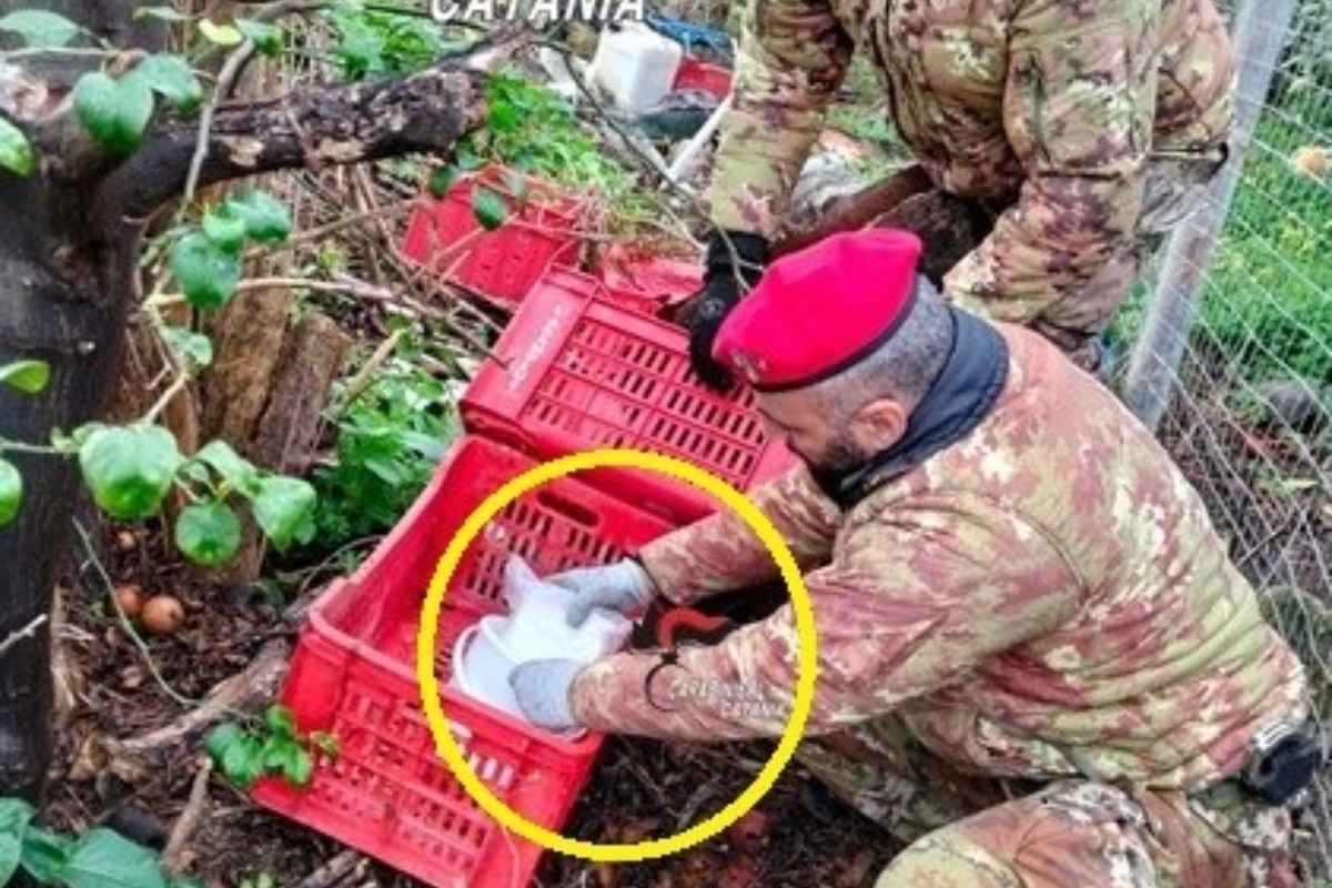 Palagonia, un chilo di cocaina nascosto in un deposito: arrestato 57enne