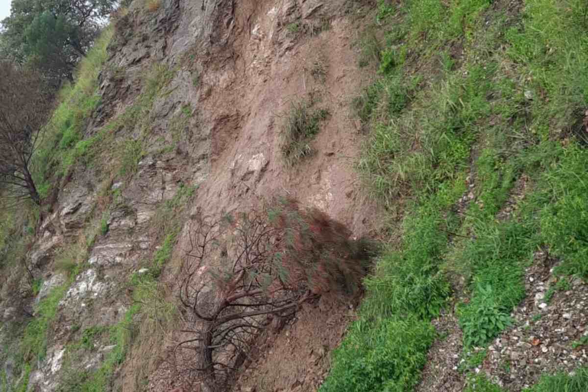 FOTO e VIDEO | Messina in ginocchio per il maltempo: allagamenti e strade impraticabili, oltre 100 interventi FOTO e VIDEO | Messina in ginocchio per il maltempo: allagamenti e strade impraticabili, oltre 100 interventi