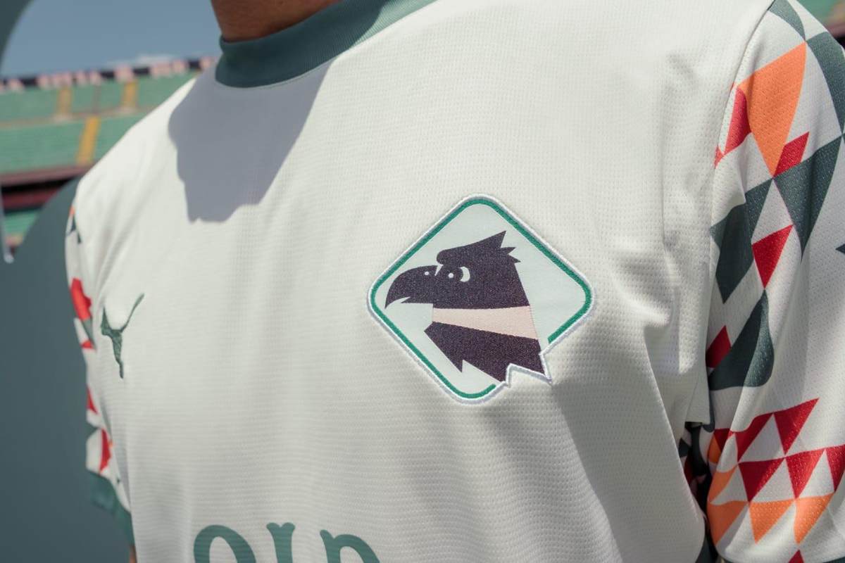 Serie B, Salernitana-Palermo 1-2: rosanero ritornano in zona playoff