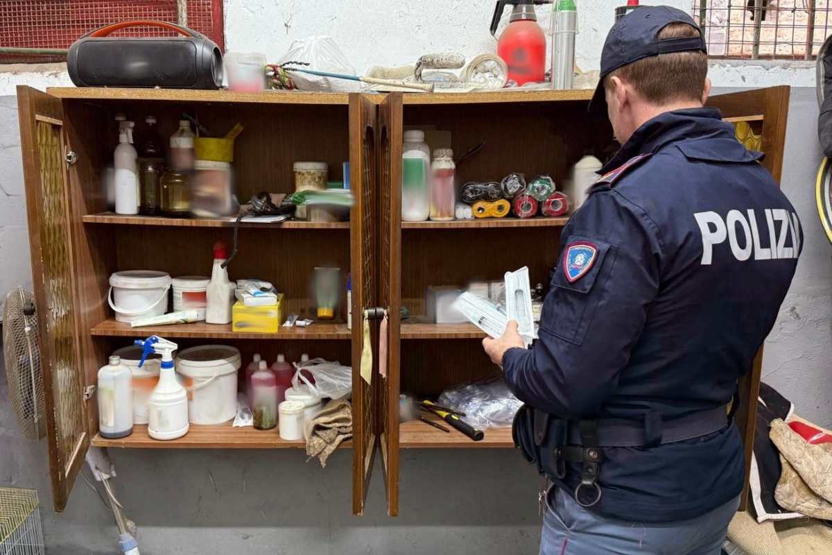 Catania, salvati 5 cavalli a San Cristoforo dalle corse clandestine: sequestrati farmaci dopanti