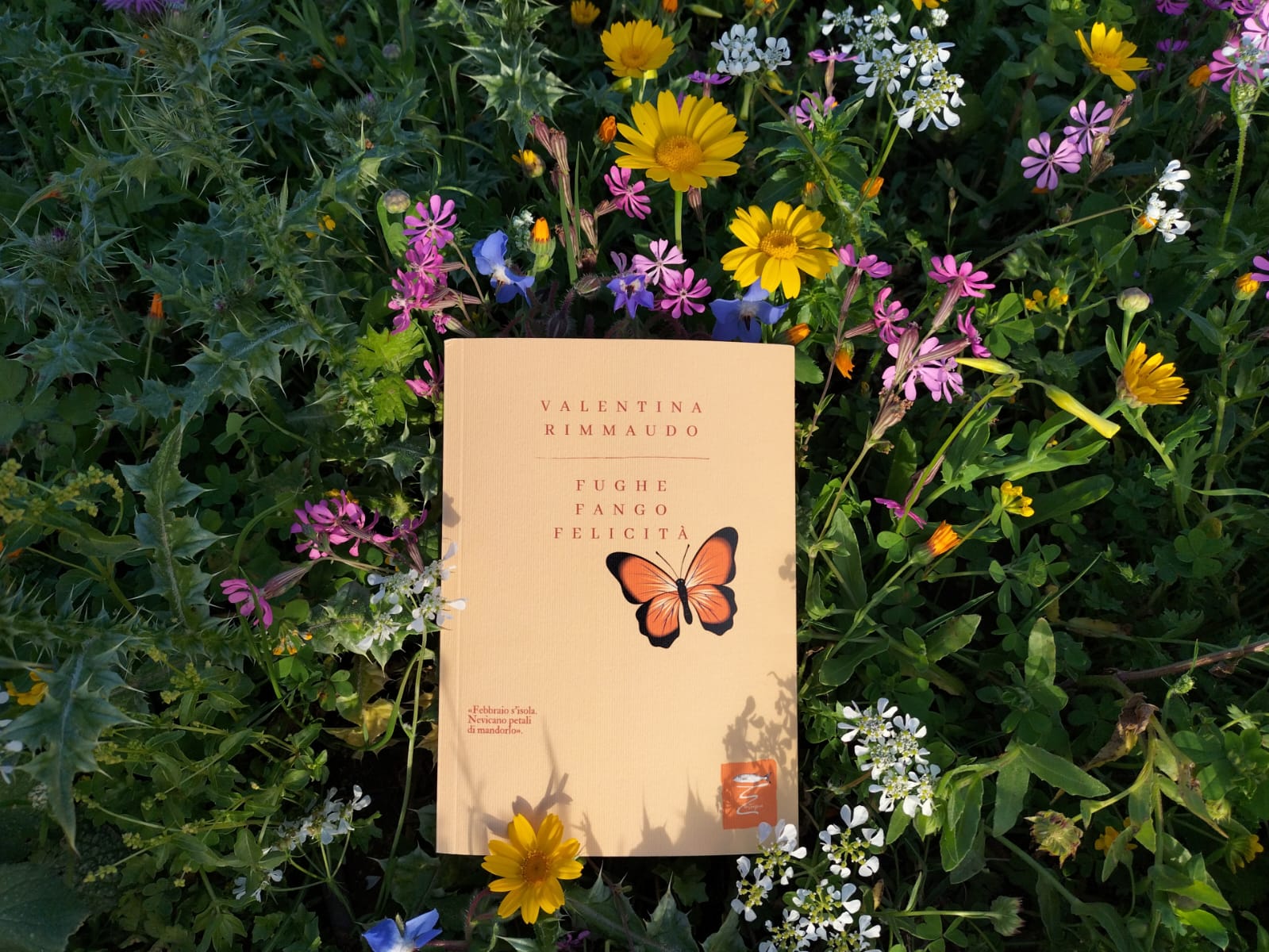 Comiso, si presenta la raccolta di poesie “Fughe Fango Falicità” di Valentina Rimmaudo. Viaggio intimo della vita