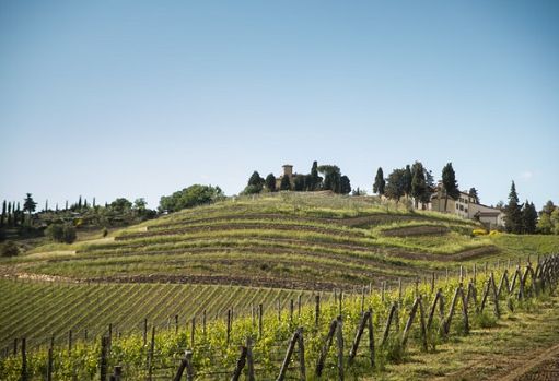 Vino, Austruy festeggia i suoi primi 10 anni a Tenuta Casenuove