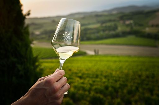 Vino, il 26 e 27 ottobre esordisce l’evento “Collio Evolution”
