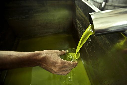 Nomisma: il 37% degli italiani vorrebbe la carta dell’olio al ristorante