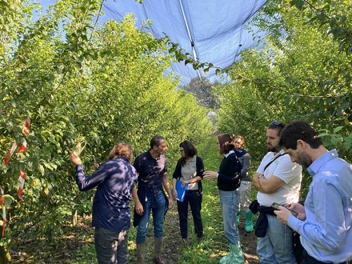 Da campagna 2025 via libera a export susine italiane in Brasile