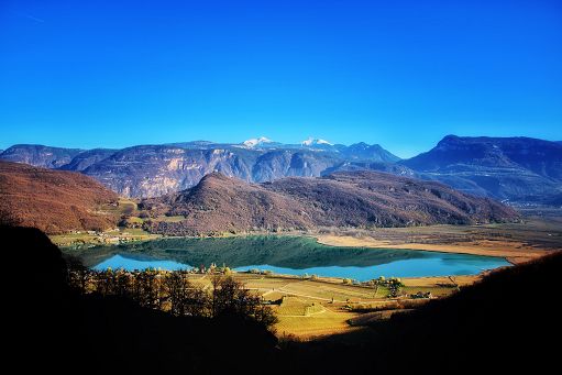 Vino, è “Vernatsch Doc 2023” il settimo “kunst.stuck” di Cantina Kaltern