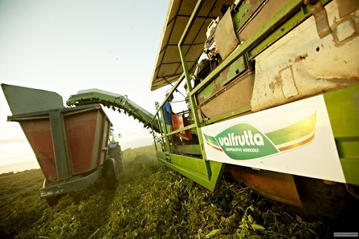 Valfrutta entra nel registro dei marchi storici del Mimit