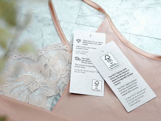 FSC Italia: dati 2024, l’economia spinge la certificazione forestale