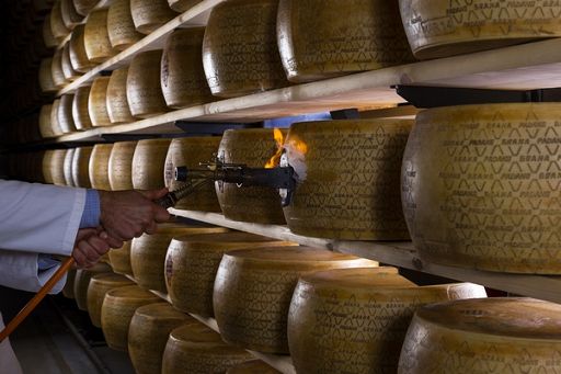 In 2024 52% produzione Grana Padano destinata all’estero, +9,15%