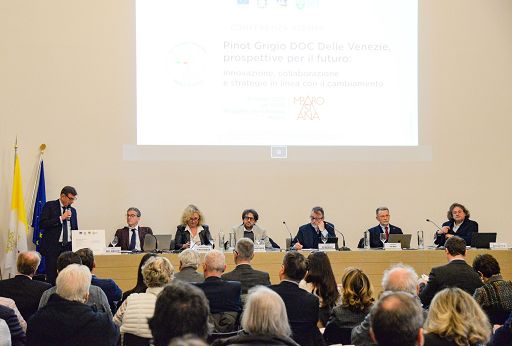 Novità Pinot Grigio Venezie: un vino low alcol e varietà resistenti