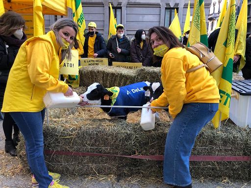 Coldiretti in piazza a Parma contro cibi creati in laboratorio