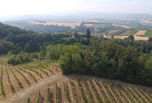 Vino, dal 29 al 31 marzo a Tortona torna “Derthona Due.Zero”