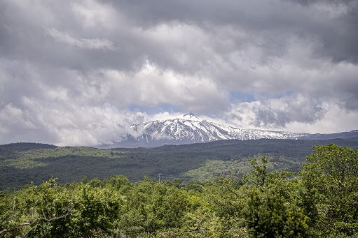 Vino, Tommasi Family Estates sale sull’Etna e acquisisce Ammura Vino, Tommasi Family Estates sale sull’Etna e acquisisce Ammura