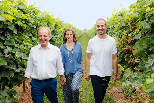 Vino, Montelvini: nel 2024 il fatturato ha superato i 32 mln, +6,5%